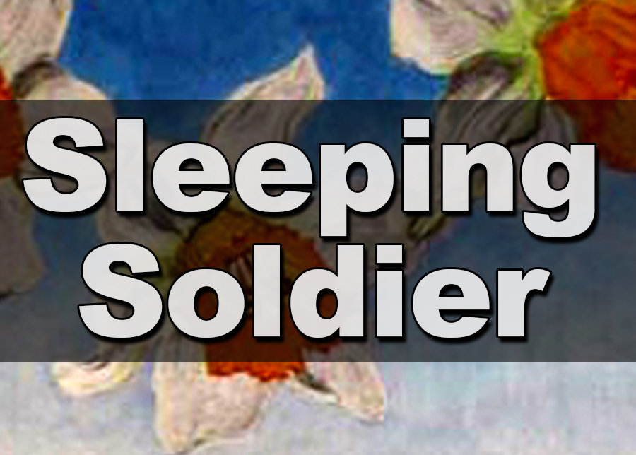 Sleeping Soldier Series - Peter Pelz
